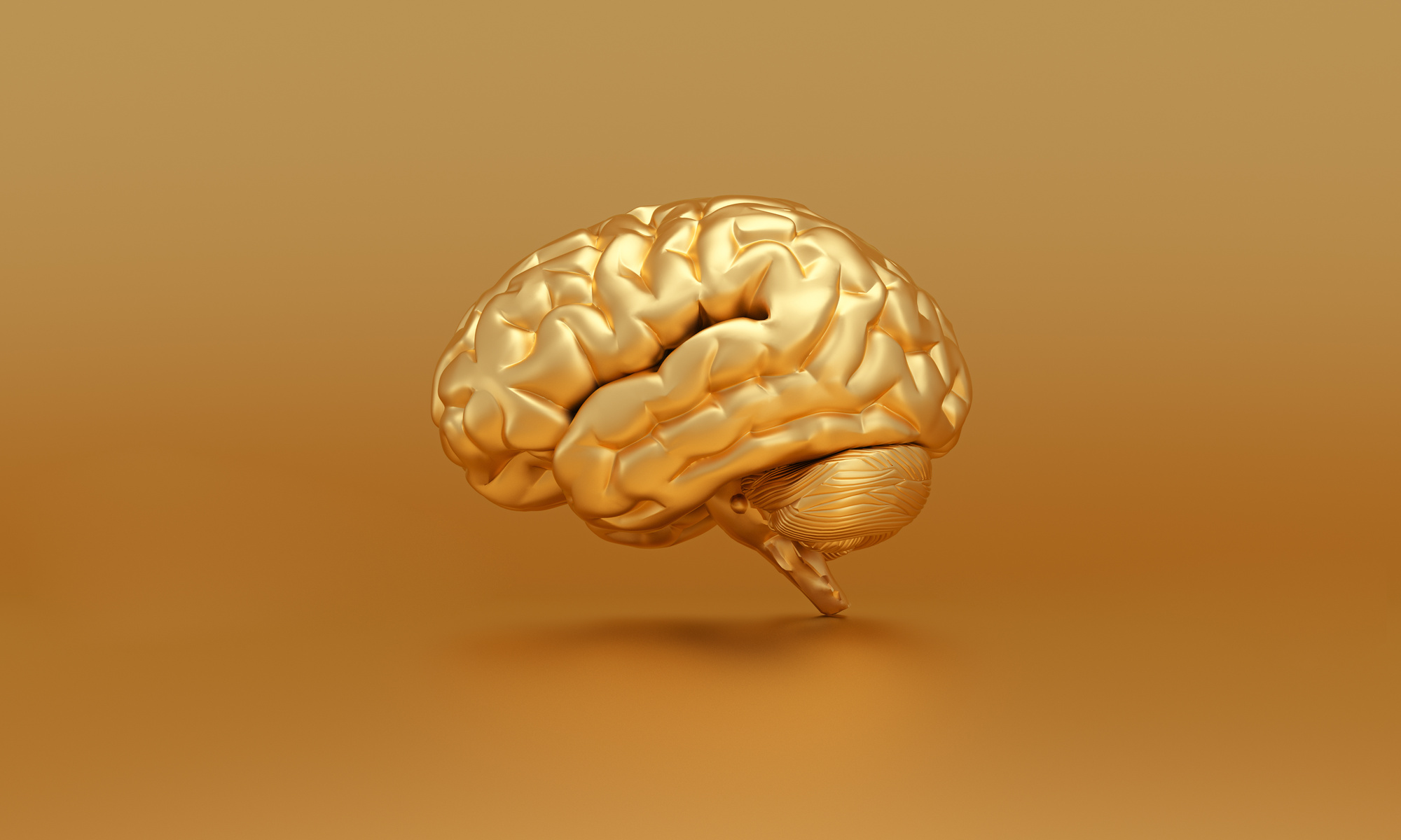 Golden brain on gold background, thinking, genius concept.